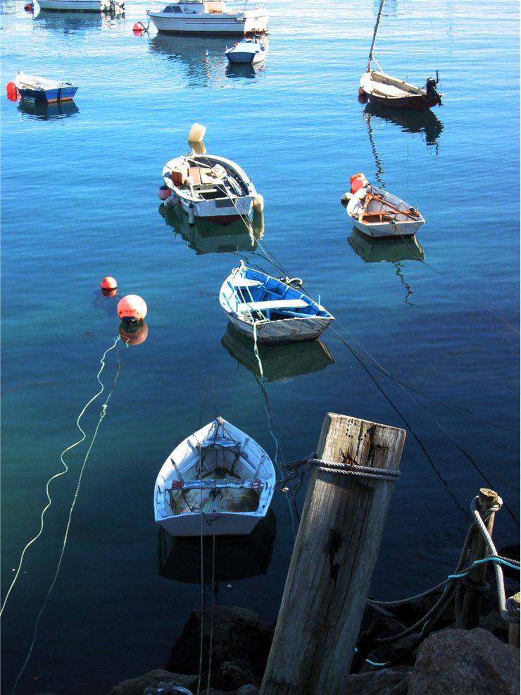 Picture Of Boats In The Fishing Port