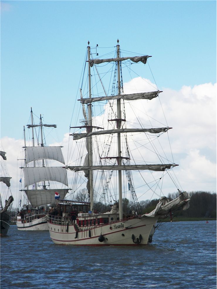 Picture Of White Sails